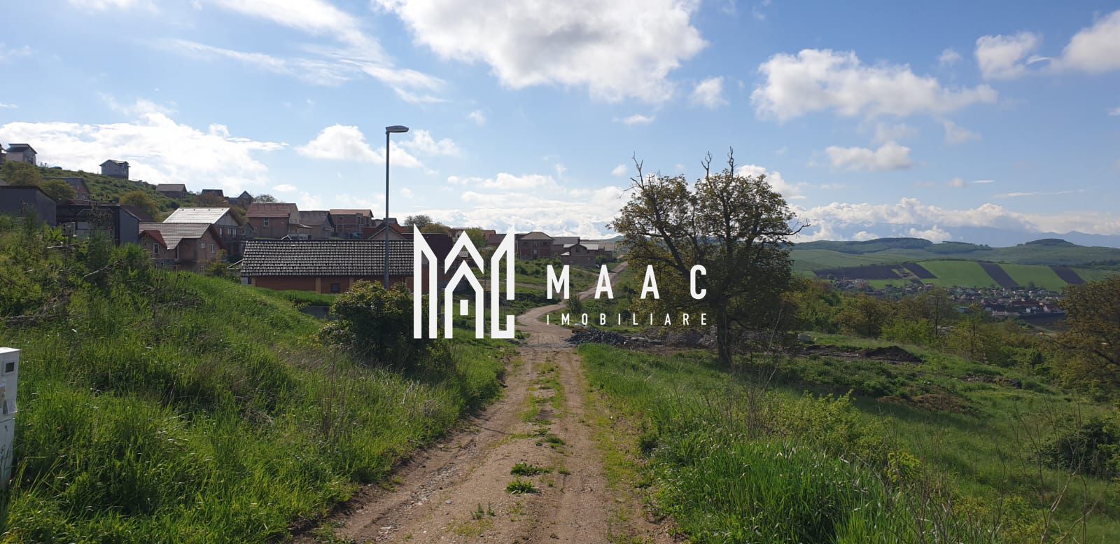 Teren | S+P+E | S+P+M | Intravilan | 9826 MP | Sura Mare - Poză 5