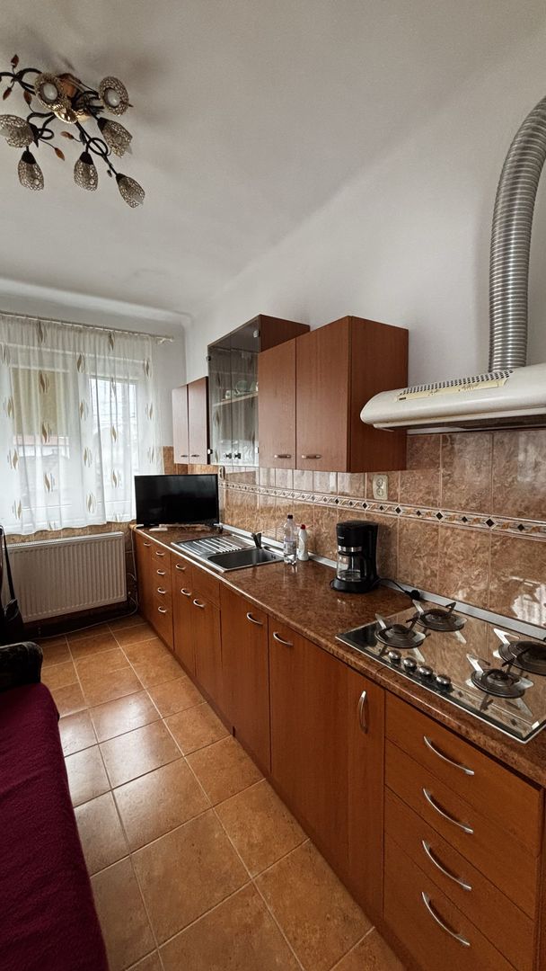 Casa individuala de vânzare cu spațiu comercial inclus în Blaj Centru - Poză 8