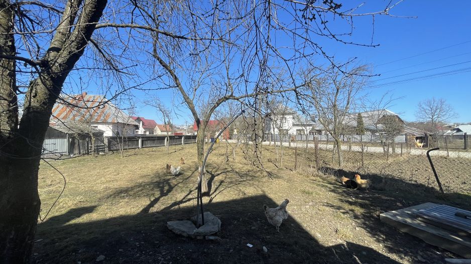 CASA RENOVATA + TEREN 3100 MP | CURTE SI GRADINA | FRATAUTII NOI - Poză 21