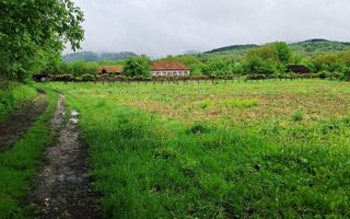 Casă și teren intravilan Polovragi - Poză 8