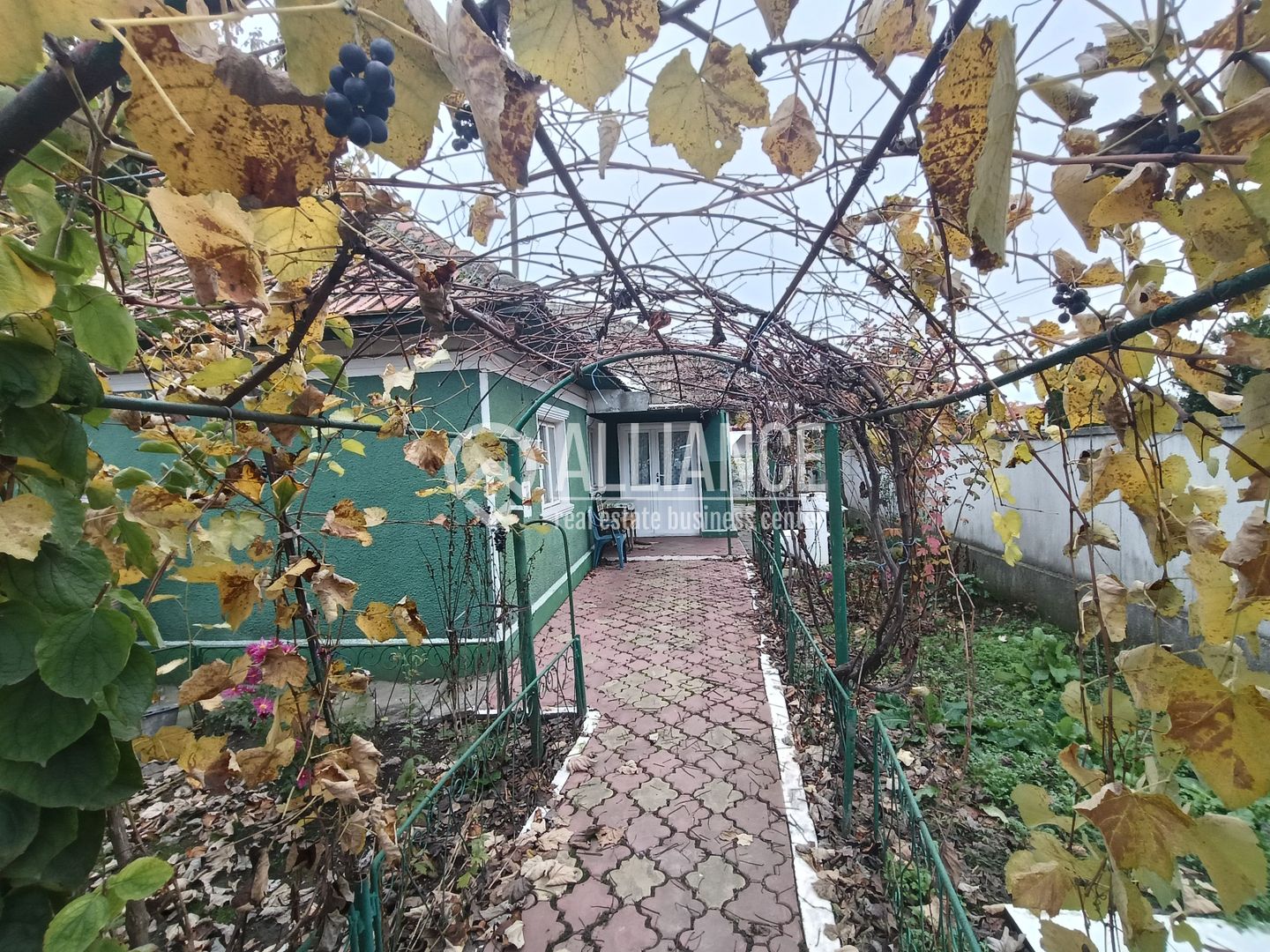 CUMPANA ( cod02) - Casa batraneasca 5 camere cu teren 491 mp - Poză 2