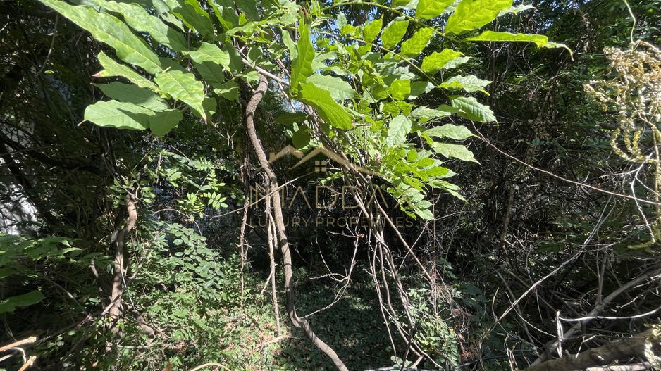 Teren Intravilan ***418mp*** posibilitate constructie S+P+2E+3ER // Floreasca - Poză 4