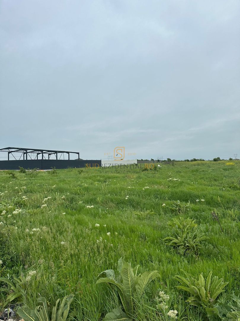 Lot de teren in Frumusani, Ilfov, 590 mp, posibilitate rate - Poză 10