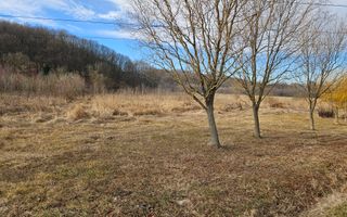 Vanzare teren Labusesti, langa padure - Poză 5