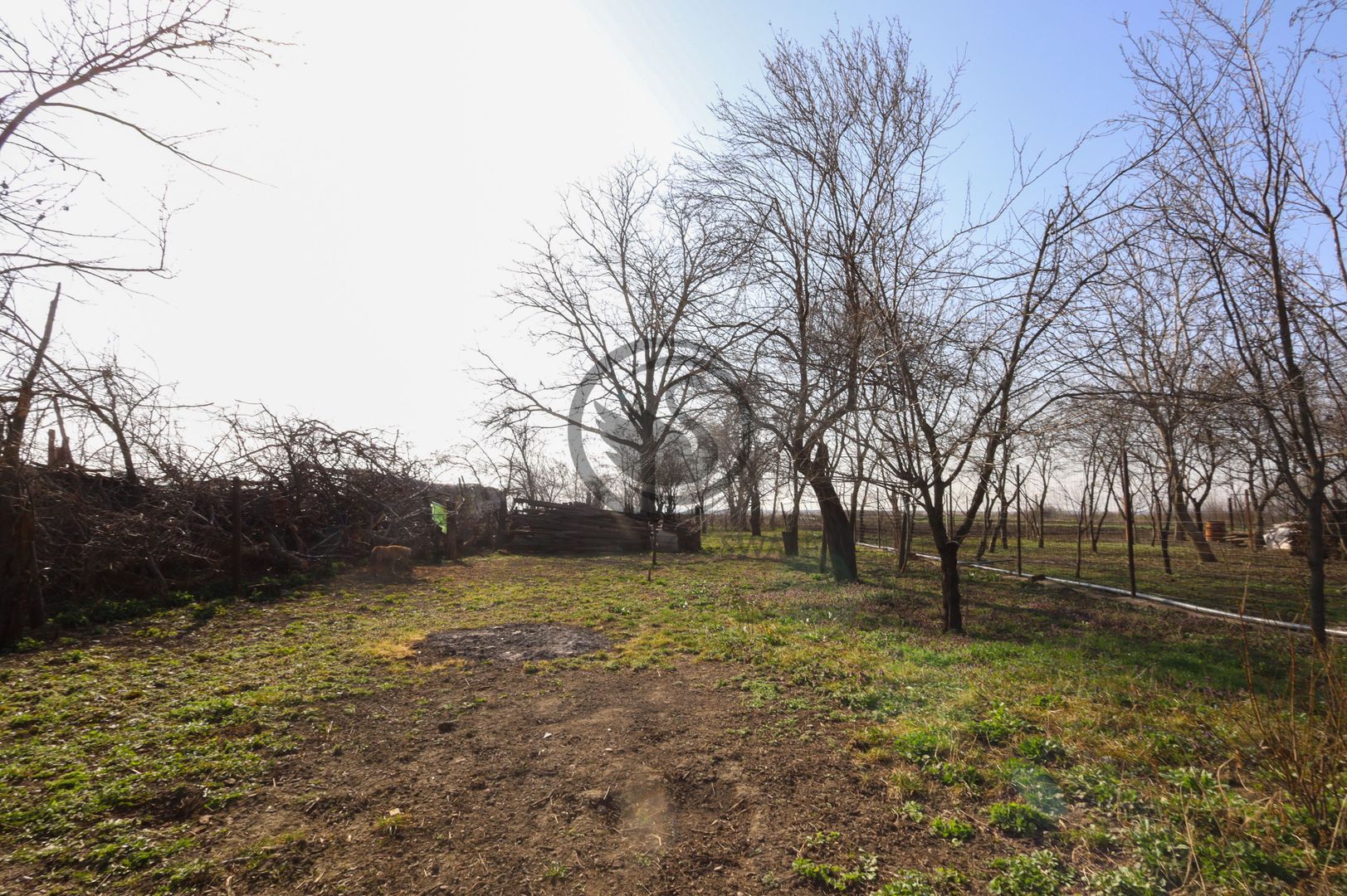 Casa de vanzare | Teren 904 mp | Zalhanaua, Prahova | Comision 0% - Poză 17