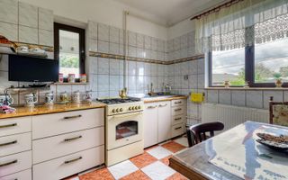 Oportunitate - Casă boierească  de poveste- 7000 mp teren - Poză 27