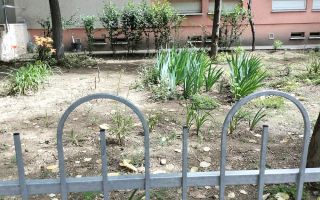 Garsoniera spațioasă, renovata, la cheie Th. Pallady Nr. 5 - Poză 6