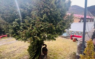 Pensiune de vânzare | 400 MPU | 10 Camere | Rasinari - Curmatura - Poză 39