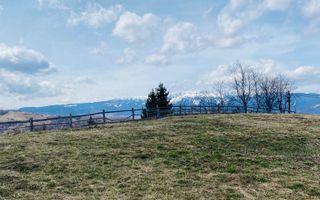 Teren Bran /Balaban - Poză 6