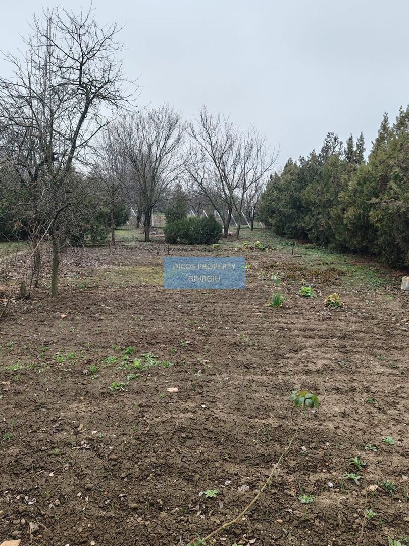 Teren 2.600 mp, utilități, Str. Merișor – Giurgiu - Poză 4