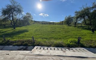 TEREN 4568 MP MIHĂEȘTI ARGEȘ - Poză 4