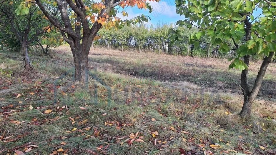 Vând Teren Horlesti-Rediu - Poză 4