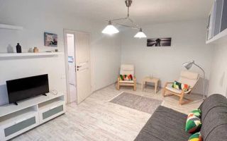 Apartament cu 2 camere in zona Tei - Poză 3