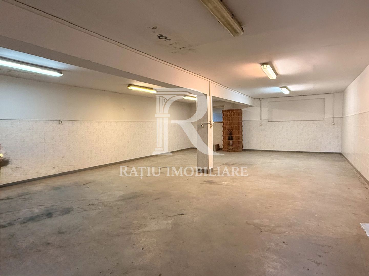 Casă cu Hală Industrială | Teren 3.200 mp | Ineu | Bihor - Poză 21