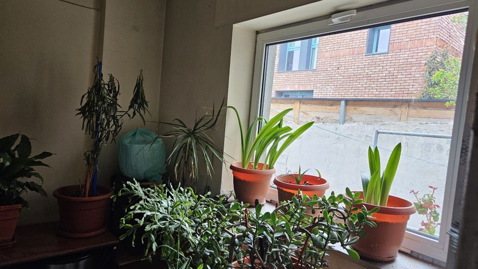 Vanzare Casa 4 camere | Zona Decebal Strada Popa Nan | Universitatea Hyperion - Poză 24