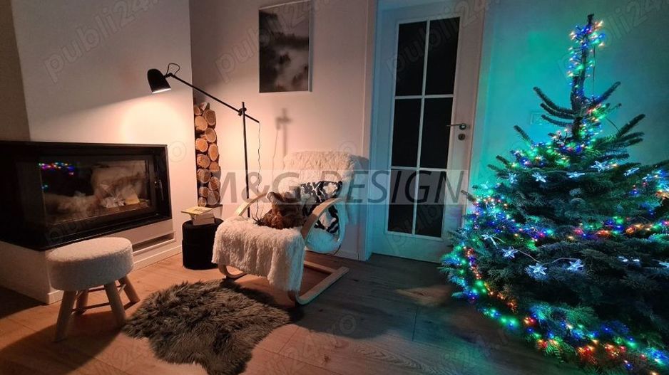 Apart deosebit pe malul Begai - Poză 9