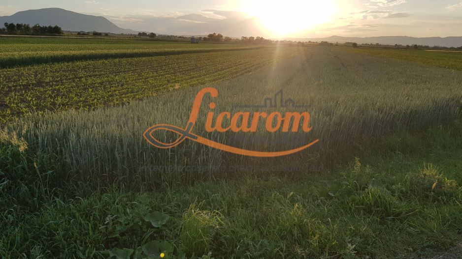 Teren intravilan Stupini front la Calea Feldioarei, DN 13 - Poză 4