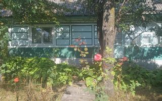 Casă tradițională de 50 mp și anexe pe teren de 2200 mp în sat Topile, Pașcani - Poză 2