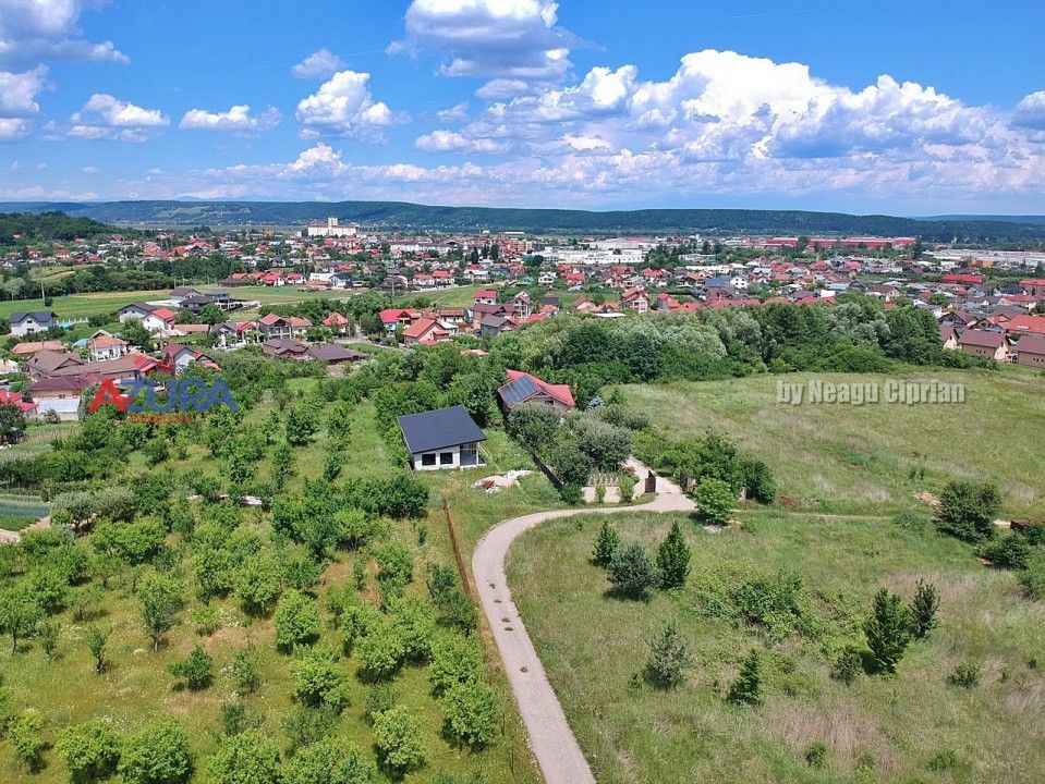 Vanzare teren 1020 mp, intravilan, Labusesti - Poză 8