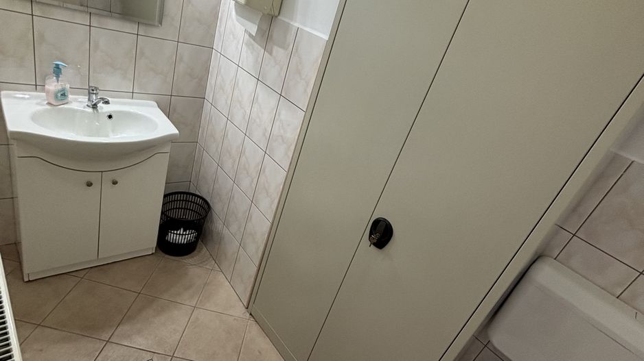 Hală,birourii/depozitare în zona Lugojului - Poză 3