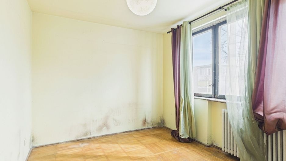 Apartament cu 2 camere  de investiții la Podgoria - Poză 2