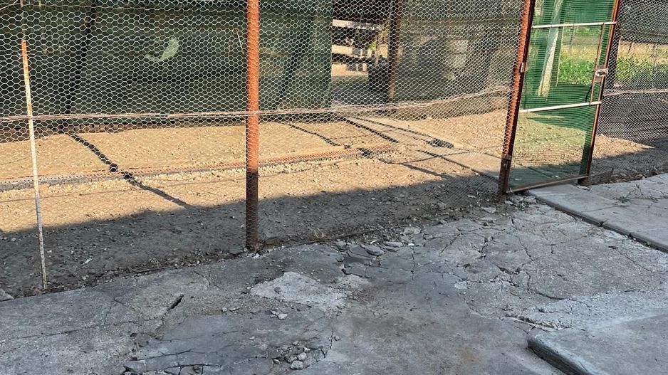 Casa parter 35 km de la Timisoara - Poză 7