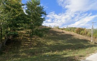 Teren intravilan 3.247 mp, oportunitate afacere, Slănic, Prahova - Poză 4