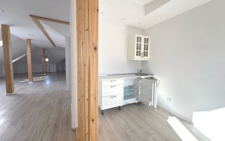 Inchiriere Vila Interbelica cu Curte - Birou - Dorobanti - Capitale - Poză 20