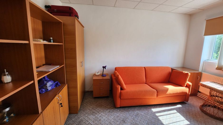 Spatiu industrial productie/ depozitare, Timiș - Poză 24