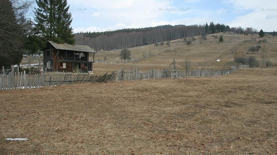 VALEA DOFTANEI - Traisteni, langa Conacul Dascalu, vanzare 2.537 mp. teren - Poză 11