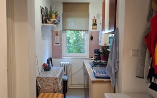 Apartament 2 camere decomandate, Parter, Zona Alexandru (Miron Costin) - Poză 5