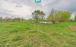 Teren 1 ha cu baltă populată – Alioș (Mașloc) - Poză 4