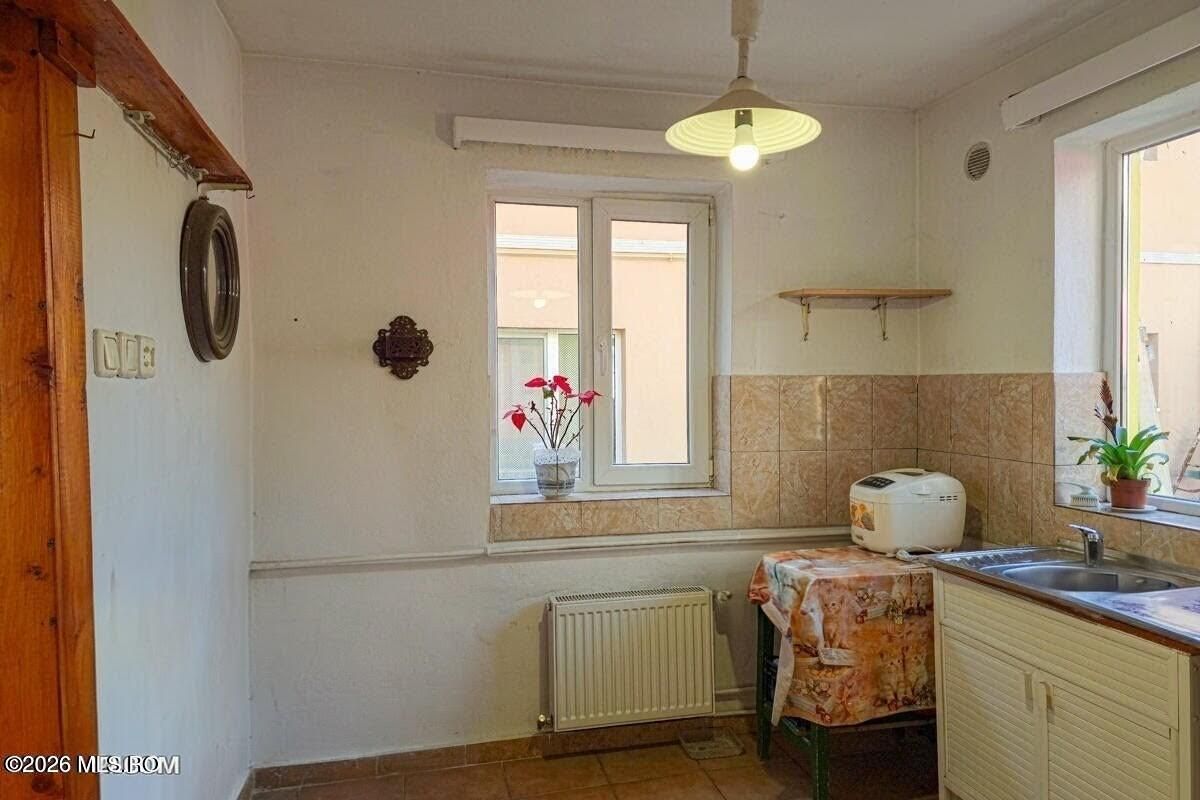 Lunei - Ion Neculce, 2 Apartamente. Mansarda 157 mp. Anexe, Lot 475 mp - Poză 19