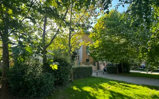 Spatiu Comercial in Parcul Primariei Snagov Ghermanesti 400 mp - Poză 14