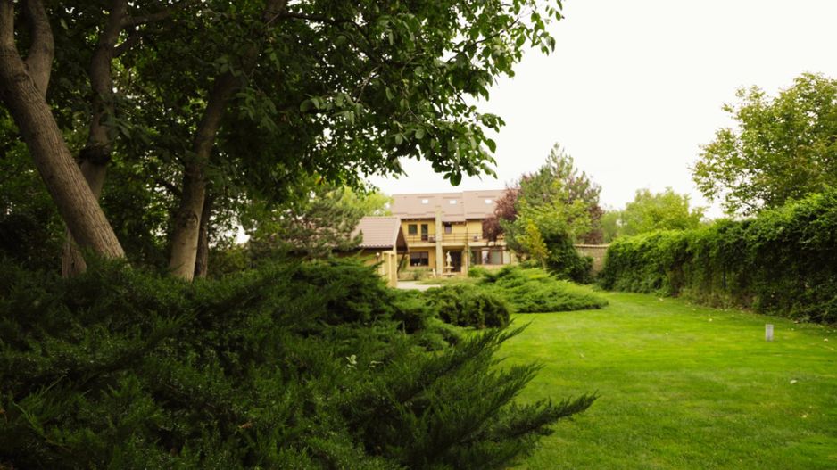 Vila de lux Buftea de inchiriat | 520 mp | teren 2491 mp - Poză 6