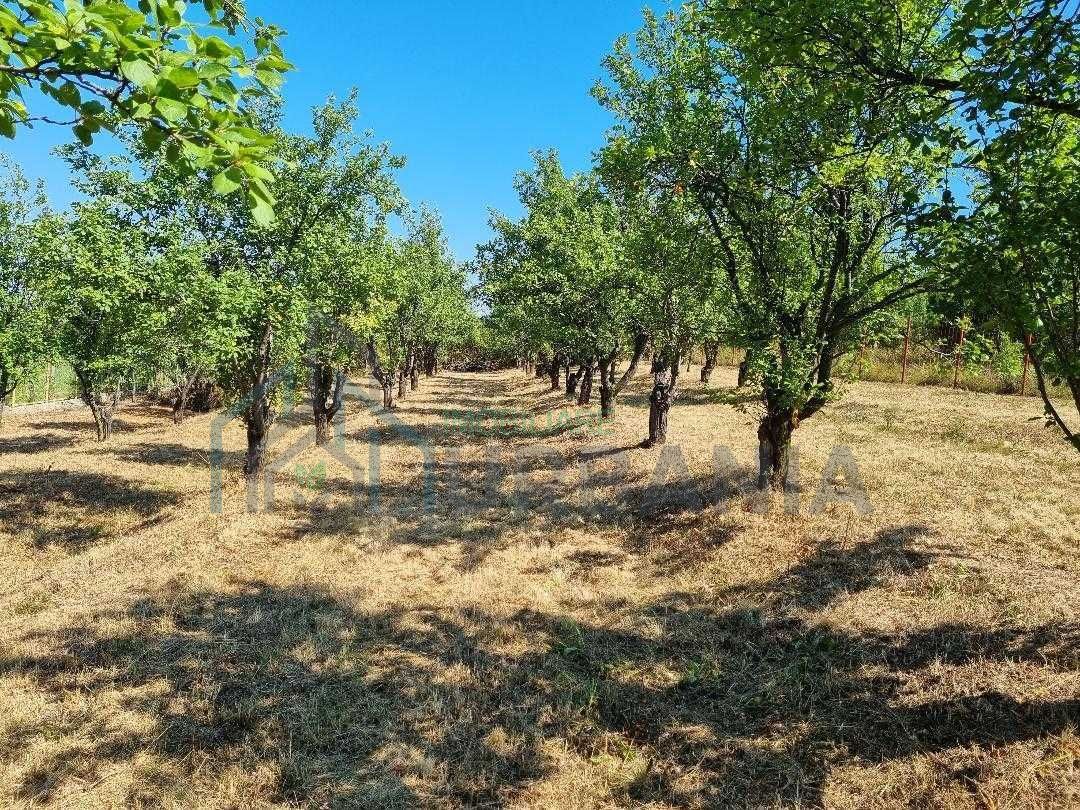 1600 mp teren in Barnova sat Pietrarie pe deal deasupra Primariei. - Poză 1