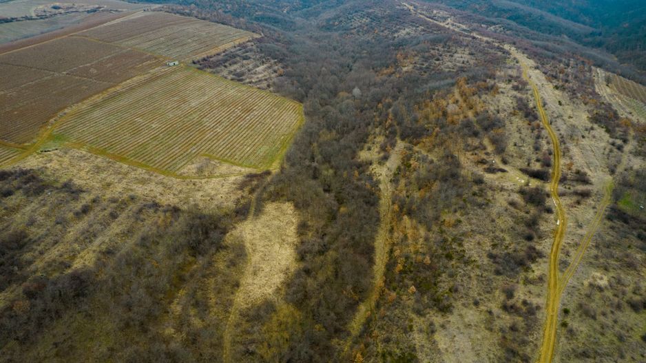 Teren pe deal în Miniș - Poză 3