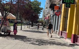 CHIRIE ULTRACENTRALA IN SATU MARE 230 EURO/LUNA - Poză 3