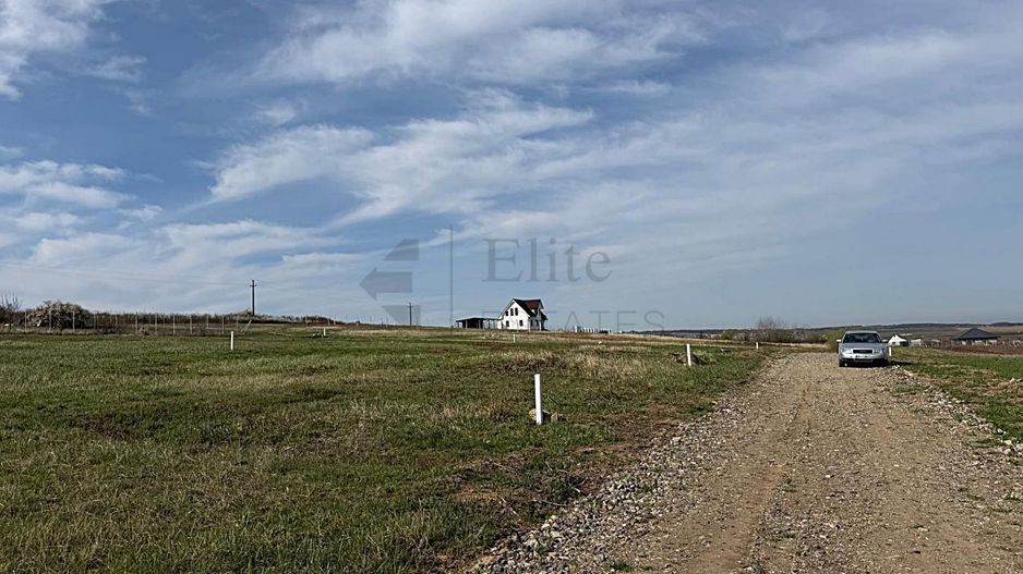 Teren intravilan 700 mp de vanzare in Paleu - Poză 2
