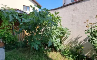 Casă individuală 4 camere - Poză 20