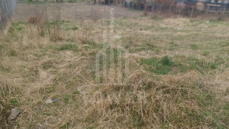 Teren Intravilan 652mp | Zona Gușterița - Poză 3