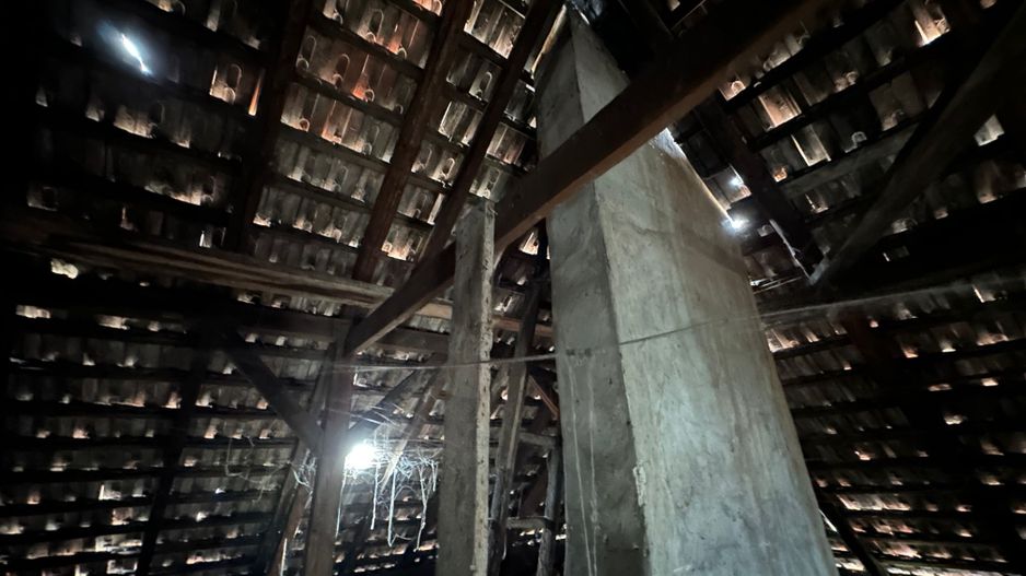 Casa zona Bălcescu teren 1082 mp - Poză 17