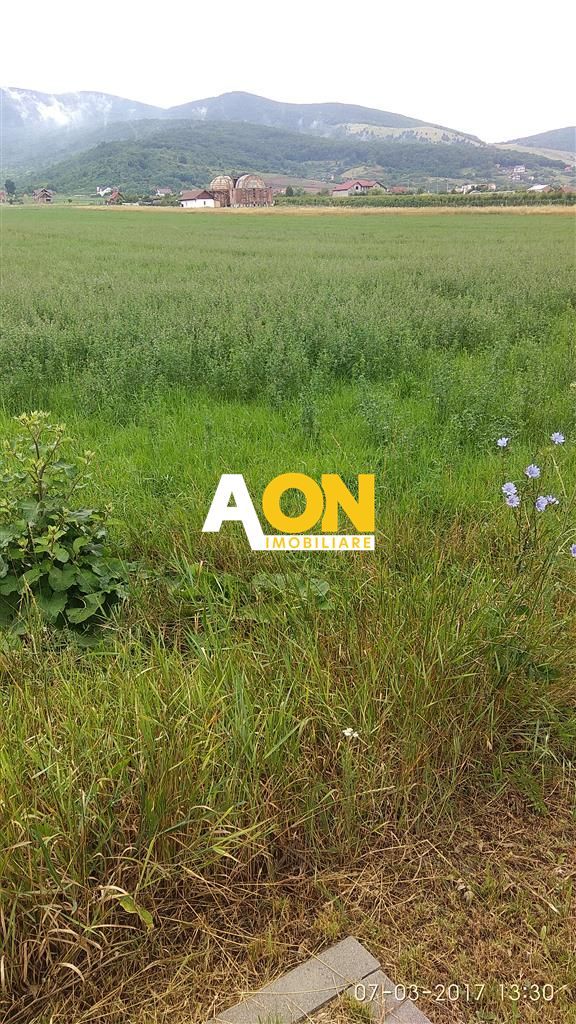 Teren pentru P+2 Alba-Micesti 3636 mp - Poză 2