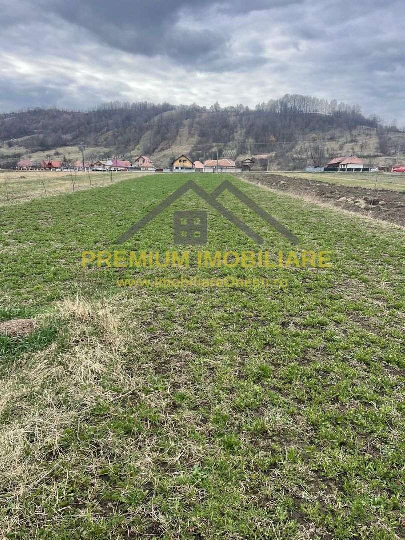 Vânzare teren 3145 mp – Mănăstirea Cașin, Onești - Poză 7