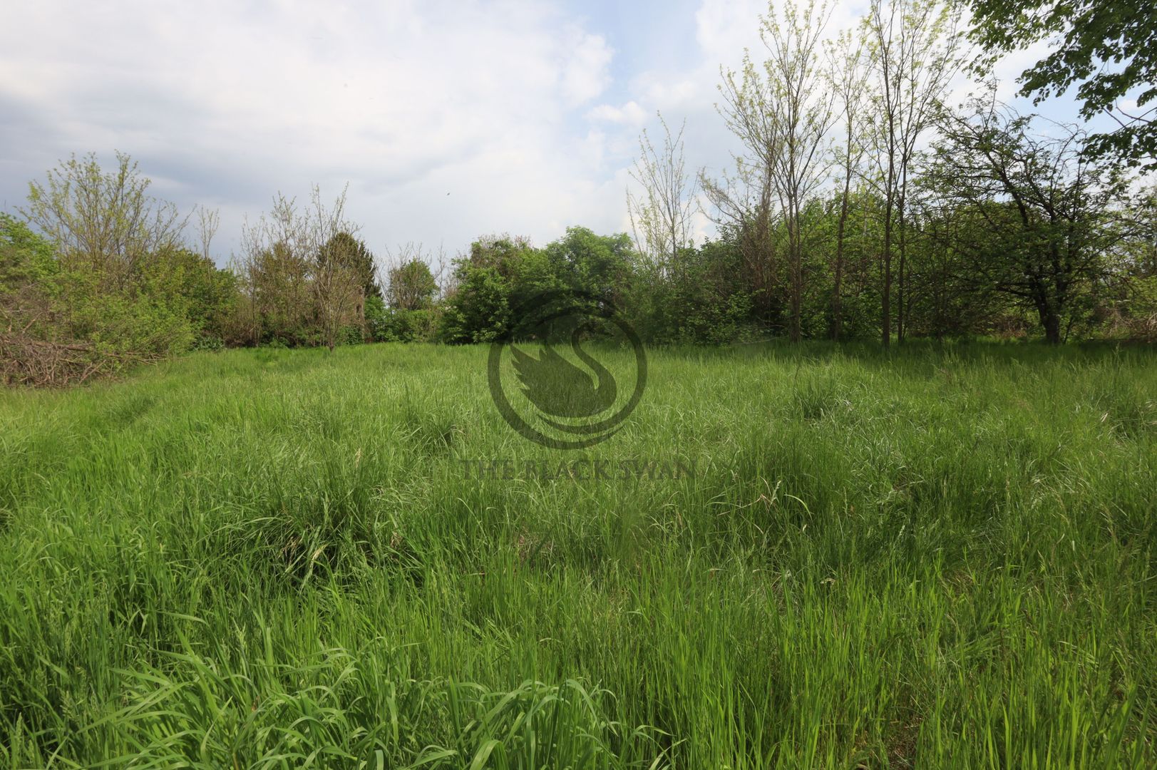 Teren si casa de vanzare | Habud - Sirna, Prahova | Comision 0% - Poză 11