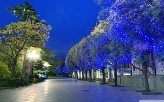 Apartament deosebit in Someseni - Poză 9