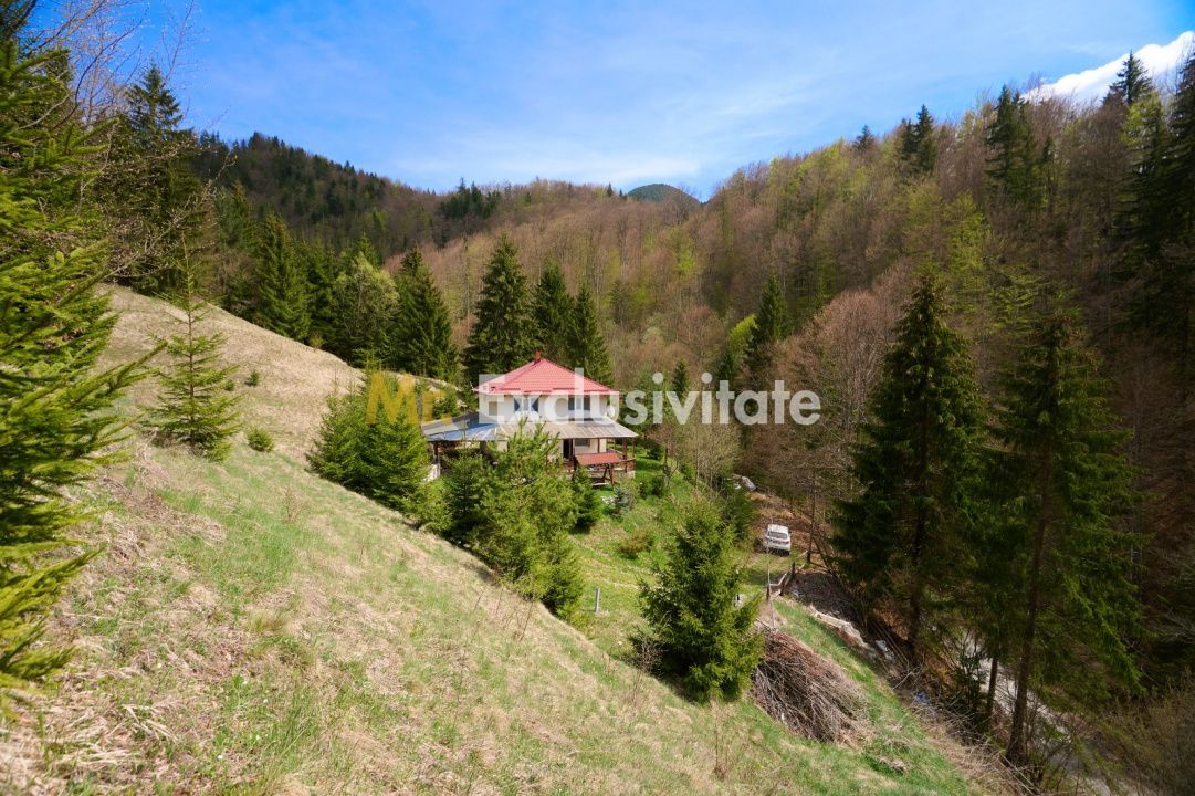 Casa Dambovicioara - CASA de vacanta sau PENSIUNE profitabila - Poză 10