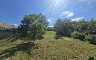 Casă cu teren de 1,4 hectare și vie, în Raducaneni - 3 camere - Poză 8