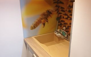 Steaua | 2 camere | Etaj Intermediar. - Poză 8