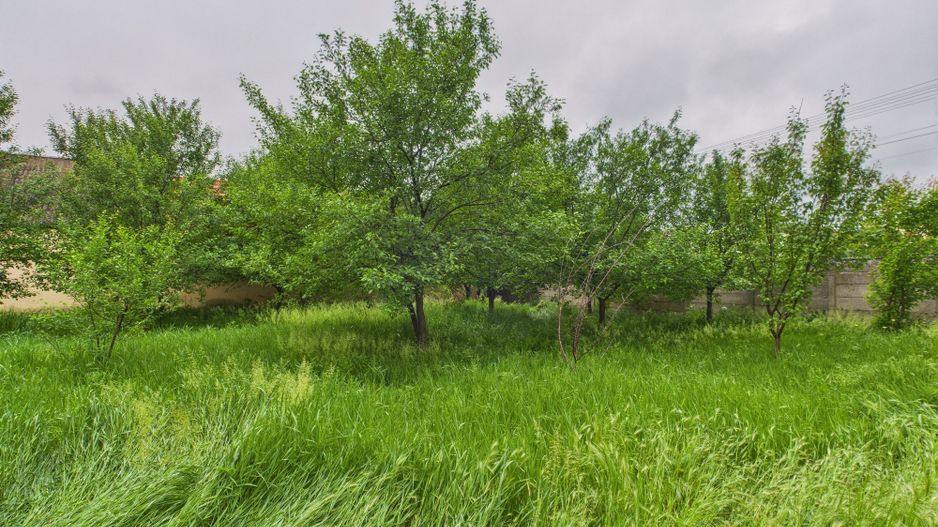 Casă de reabilitat pe teren generos- Comuna Variaș - Poză 11